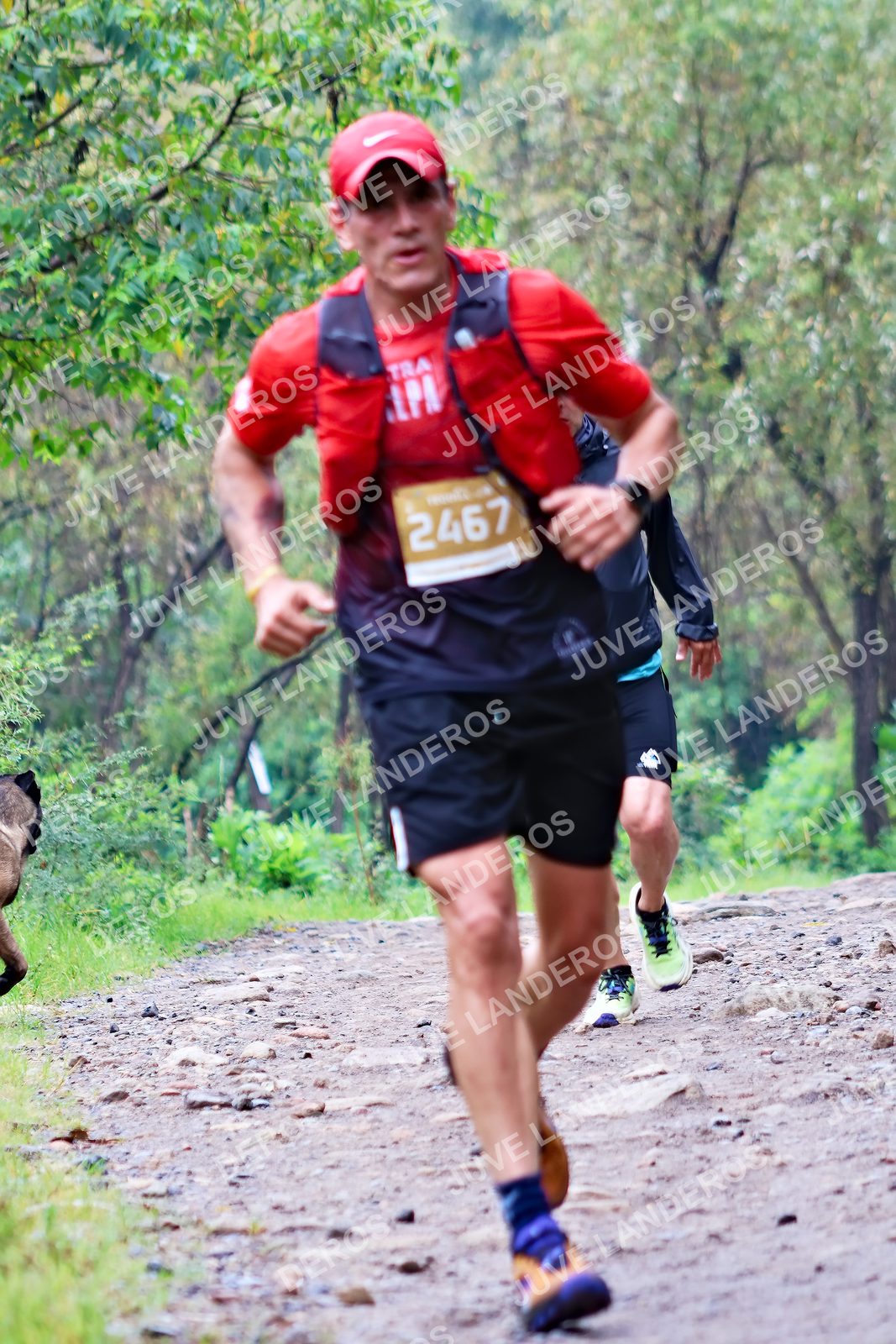 Foto del ULTRA TEQUILA 2026 en Tequila, Jalisco a las 08:26 · Ruta · dorsal 2467