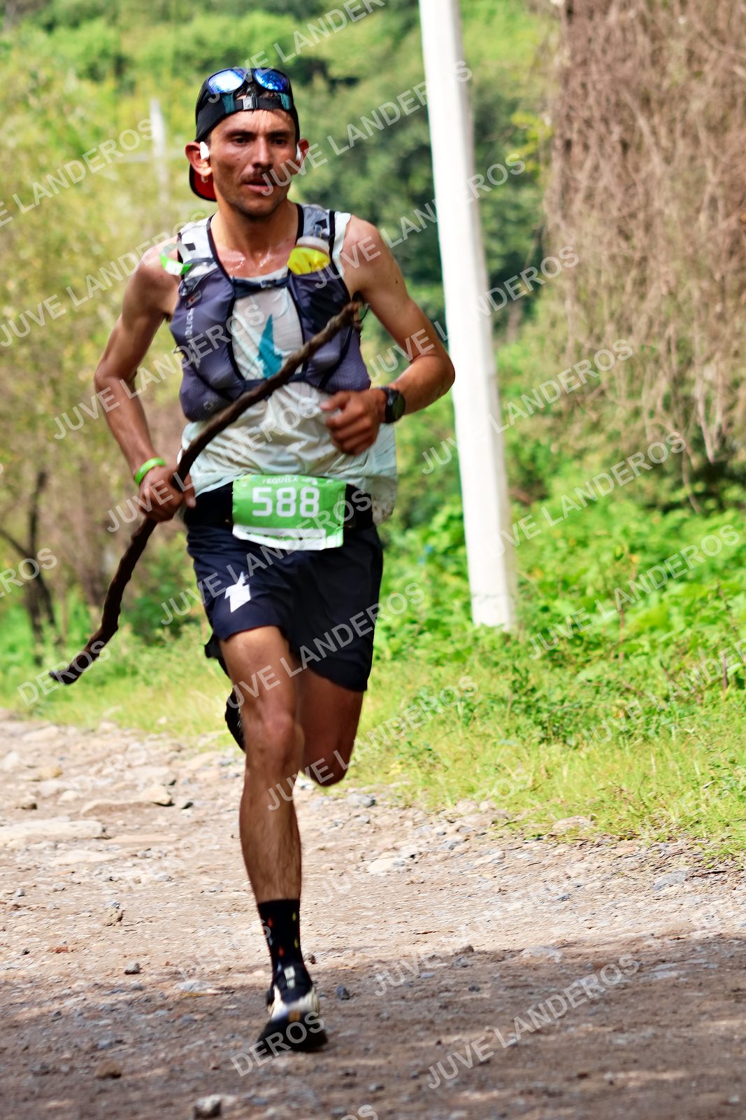 Foto del ULTRA TEQUILA 2026 en Tequila, Jalisco a las 09:21 · Ruta · dorsal 588