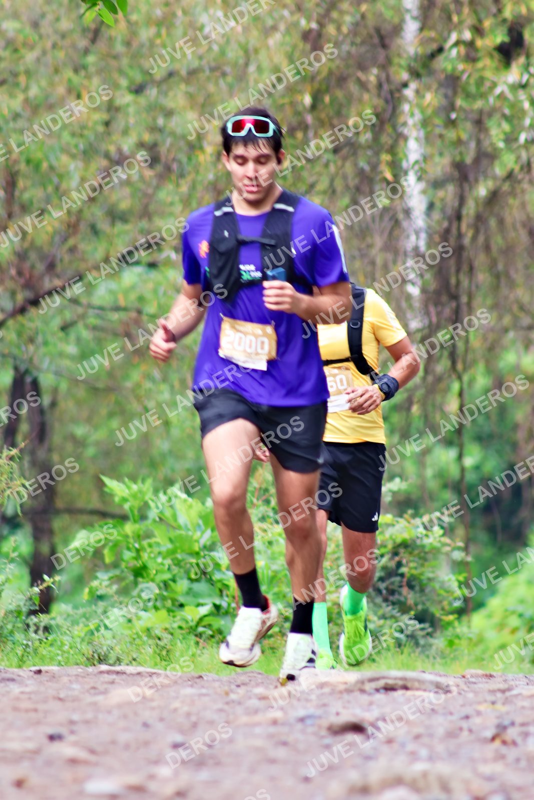 Foto del ULTRA TEQUILA 2026 en Tequila, Jalisco a las 08:45 · Ruta · dorsal 2000, 60