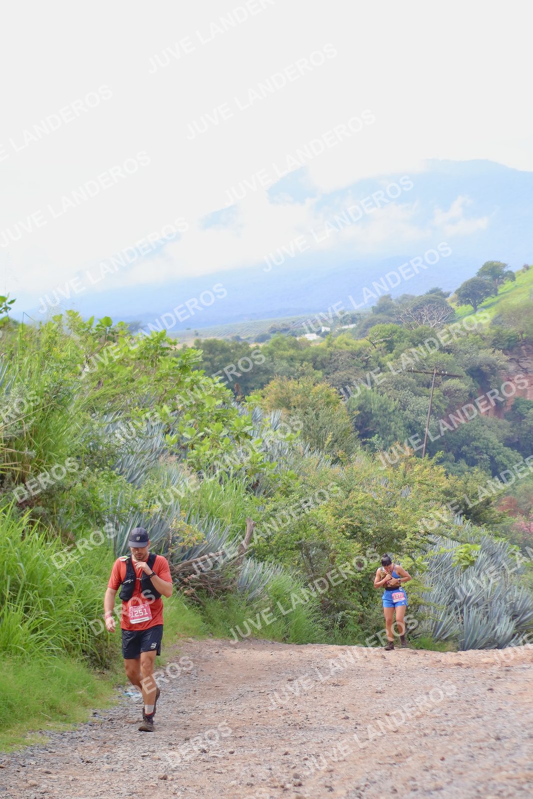 Foto del ULTRA TEQUILA 2026 en Tequila, Jalisco a las 09:56 · Ruta · dorsal 1251