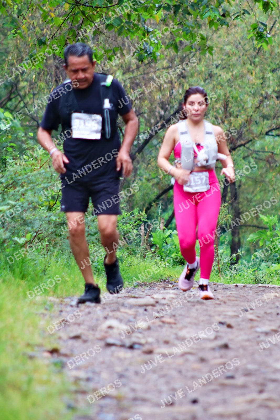 Foto del ULTRA TEQUILA 2026 en Tequila, Jalisco a las 08:32 · Ruta · dorsal 157, 3196