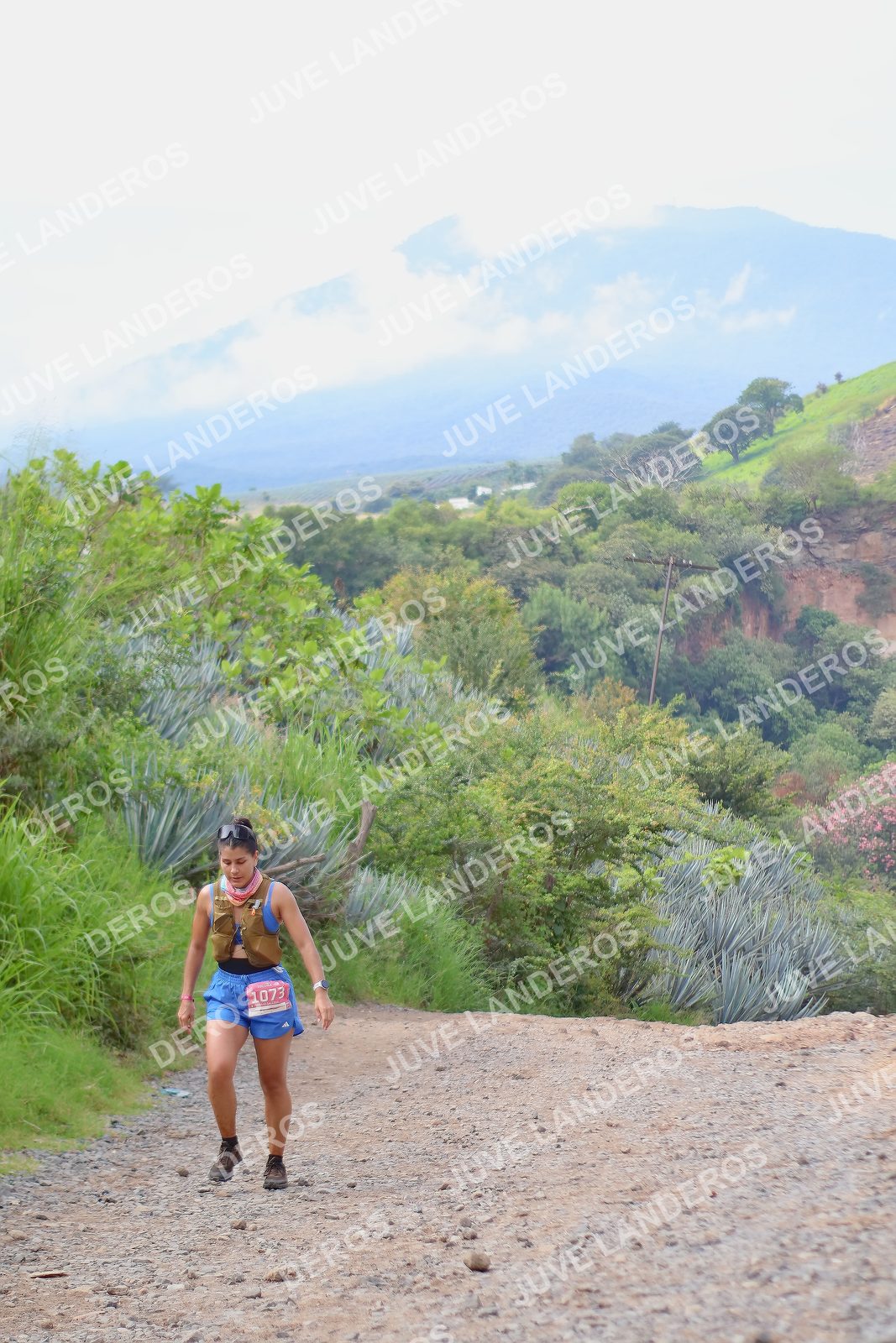 Foto del ULTRA TEQUILA 2026 en Tequila, Jalisco a las 09:56 · Ruta · dorsal 1073