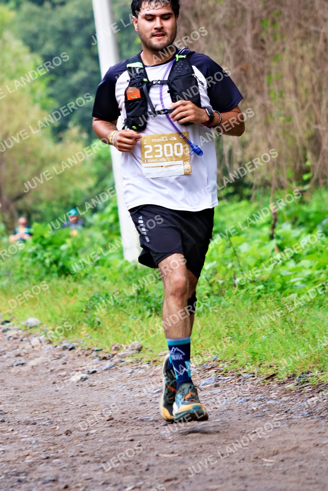 Foto del ULTRA TEQUILA 2026 en Tequila, Jalisco a las 08:43 · Ruta · dorsal 2300