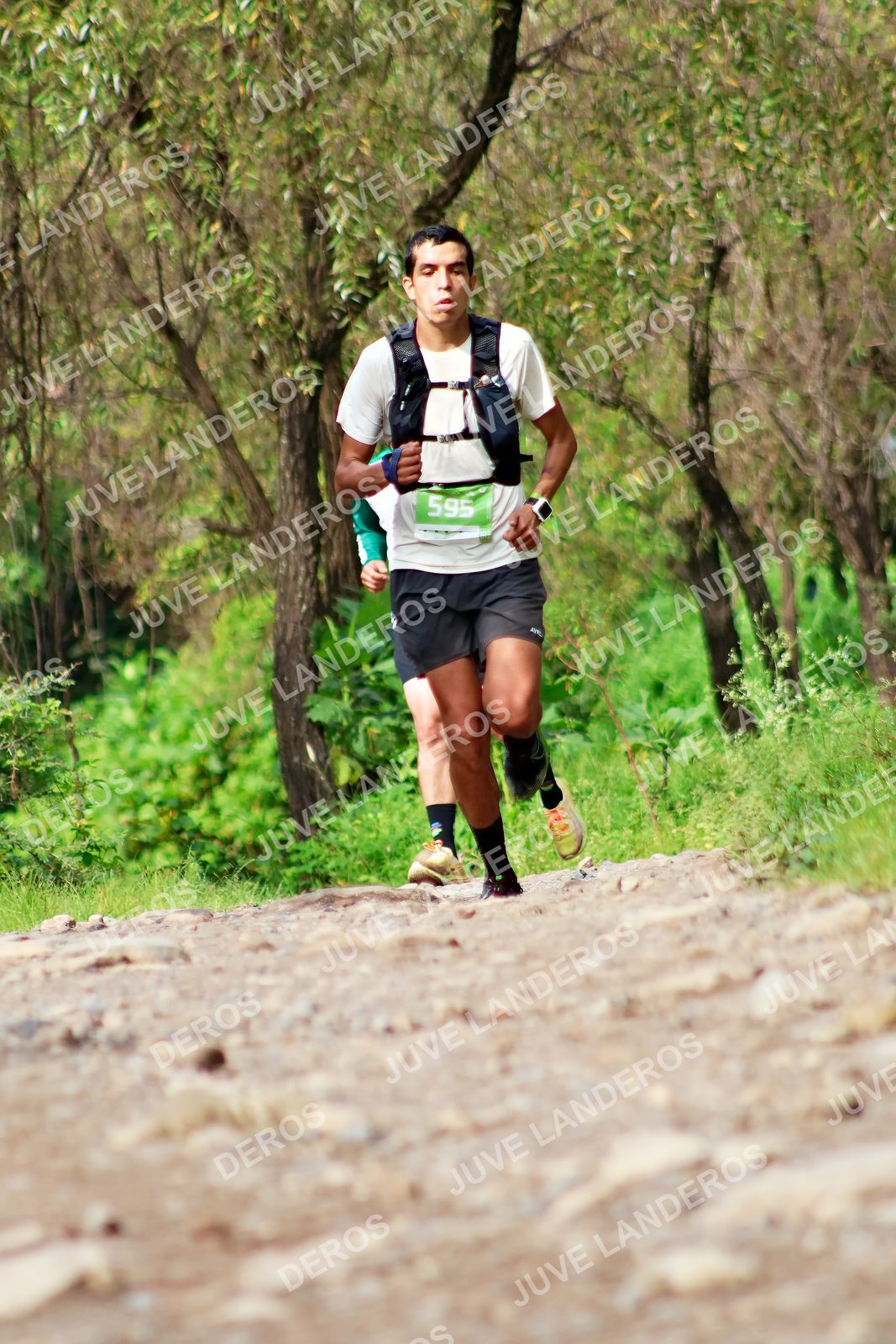 Foto del ULTRA TEQUILA 2026 en Tequila, Jalisco a las 09:31 · Ruta · dorsal 595