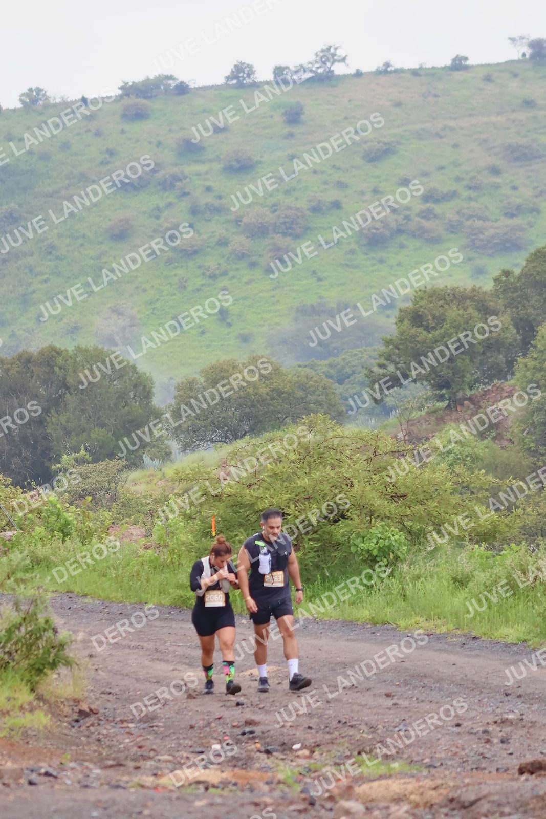 Foto del ULTRA TEQUILA 2026 en Tequila, Jalisco a las 07:38 · Ruta · dorsal 2060