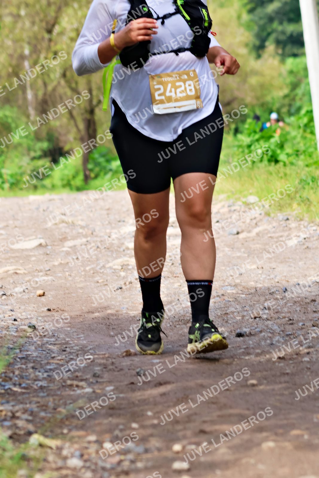 Foto del ULTRA TEQUILA 2026 en Tequila, Jalisco a las 09:40 · Ruta · dorsal 2428