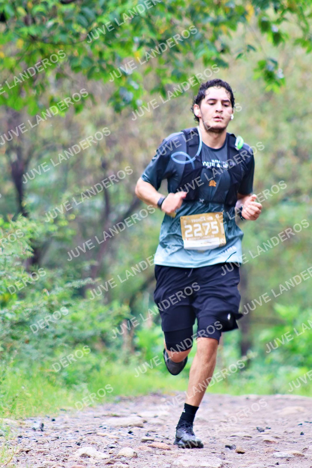 Foto del ULTRA TEQUILA 2026 en Tequila, Jalisco a las 08:33 · Ruta · dorsal 2275