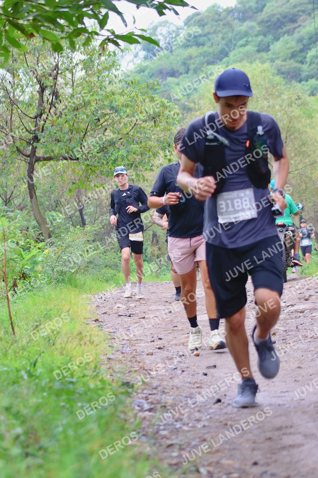 Foto del ULTRA TEQUILA 2026 en Tequila, Jalisco a las 08:29 · Ruta · dorsal 3188