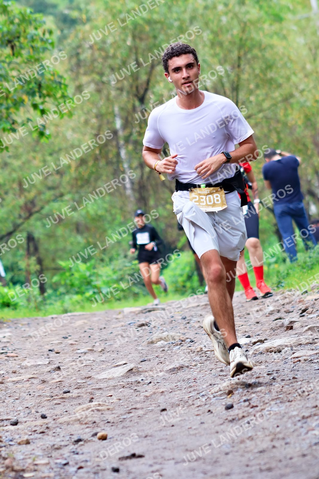 Foto del ULTRA TEQUILA 2026 en Tequila, Jalisco a las 08:35 · Ruta · dorsal 2308