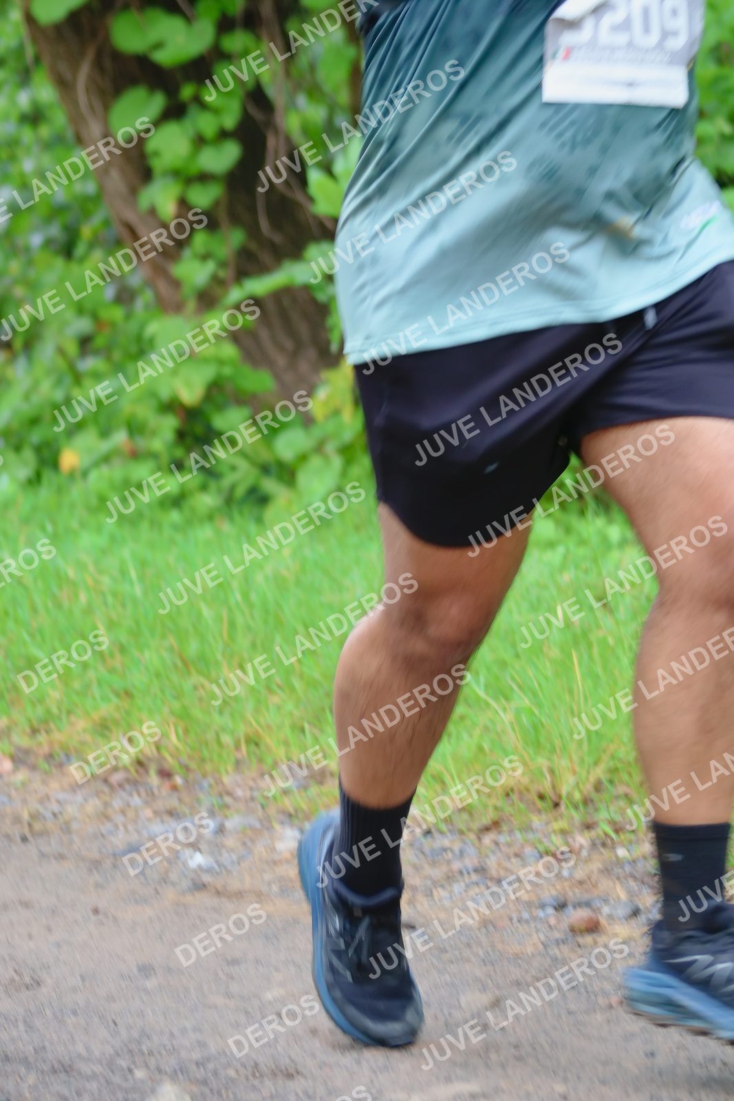 Foto del ULTRA TEQUILA 2026 en Tequila, Jalisco a las 08:26 · Ruta · dorsal 209