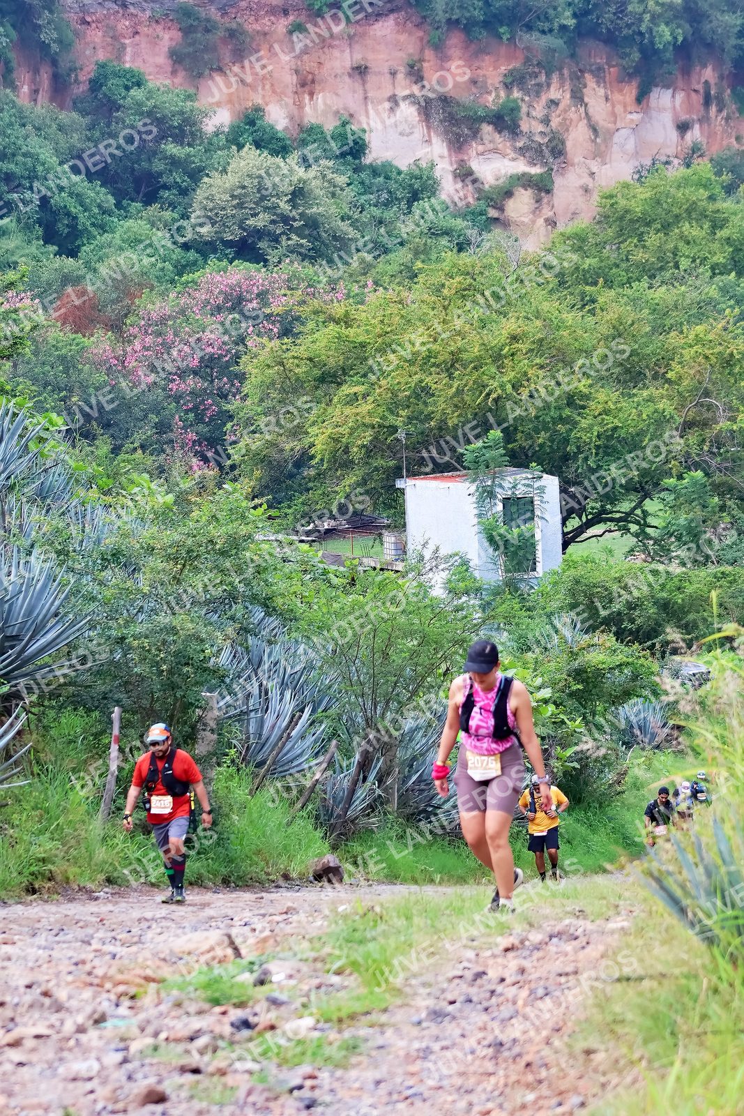 Foto del ULTRA TEQUILA 2026 a las 09:51