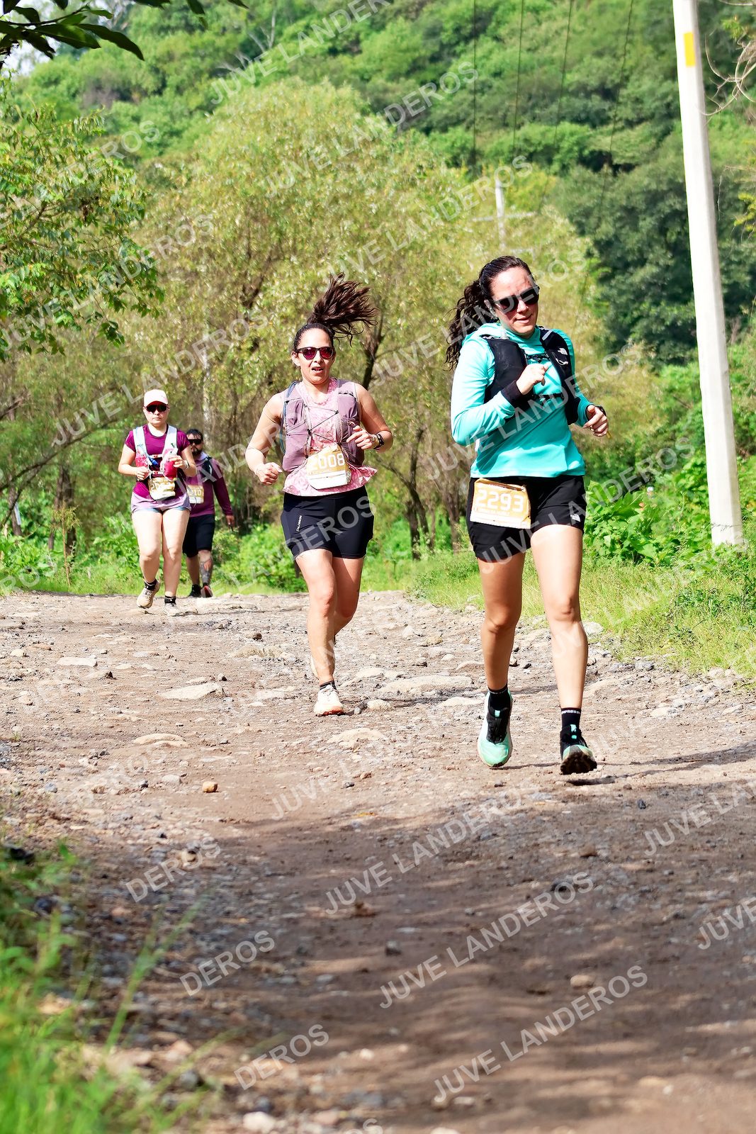 Foto del ULTRA TEQUILA 2026 en Tequila, Jalisco a las 09:30 · Ruta · dorsal 2293, 8