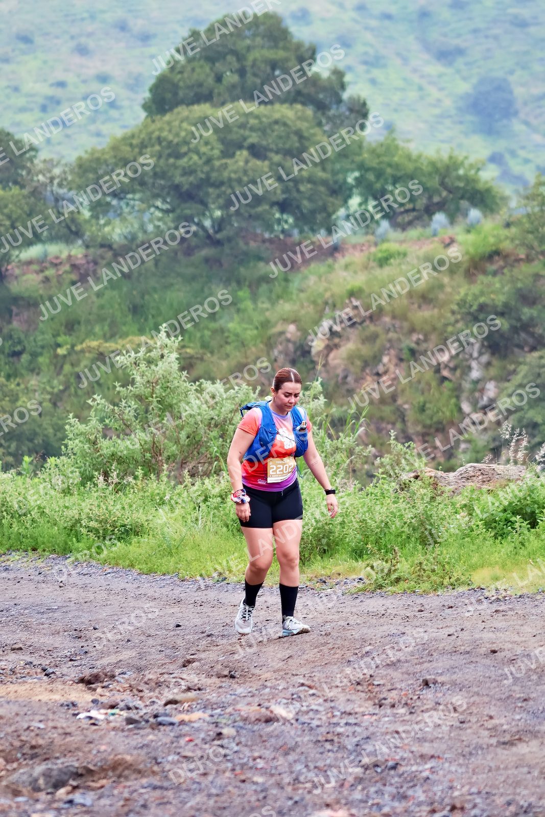 Foto del ULTRA TEQUILA 2026 en Tequila, Jalisco a las 07:39 · Ruta · dorsal 2202