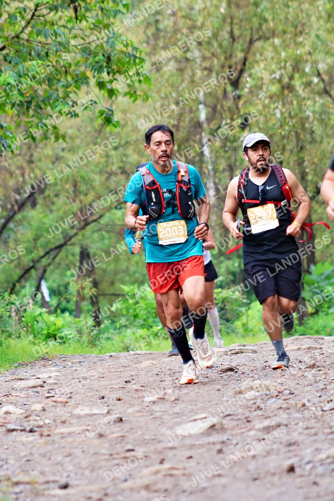 Foto del ULTRA TEQUILA 2026 en Tequila, Jalisco a las 08:42 · Ruta · dorsal 2003