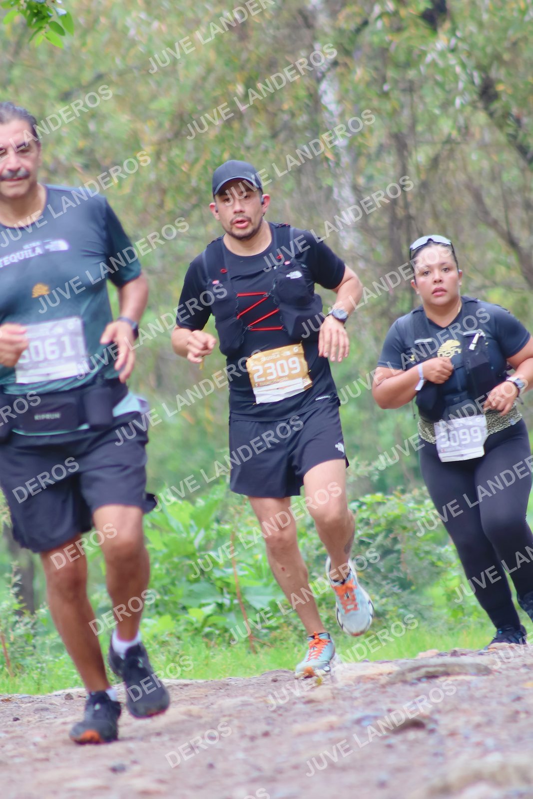 Foto del ULTRA TEQUILA 2026 en Tequila, Jalisco a las 08:37 · Ruta · dorsal 2309, 3099, 61