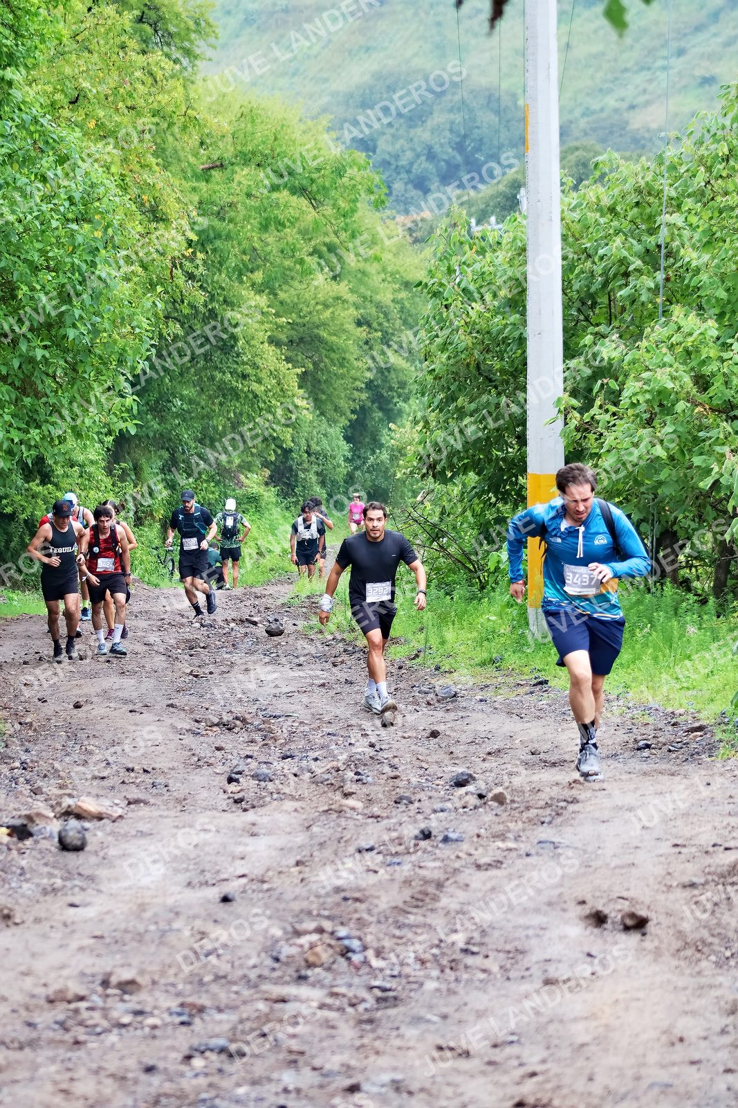 Foto del ULTRA TEQUILA 2026 en Tequila, Jalisco a las 07:47 · Ruta · dorsal 3437, 3292