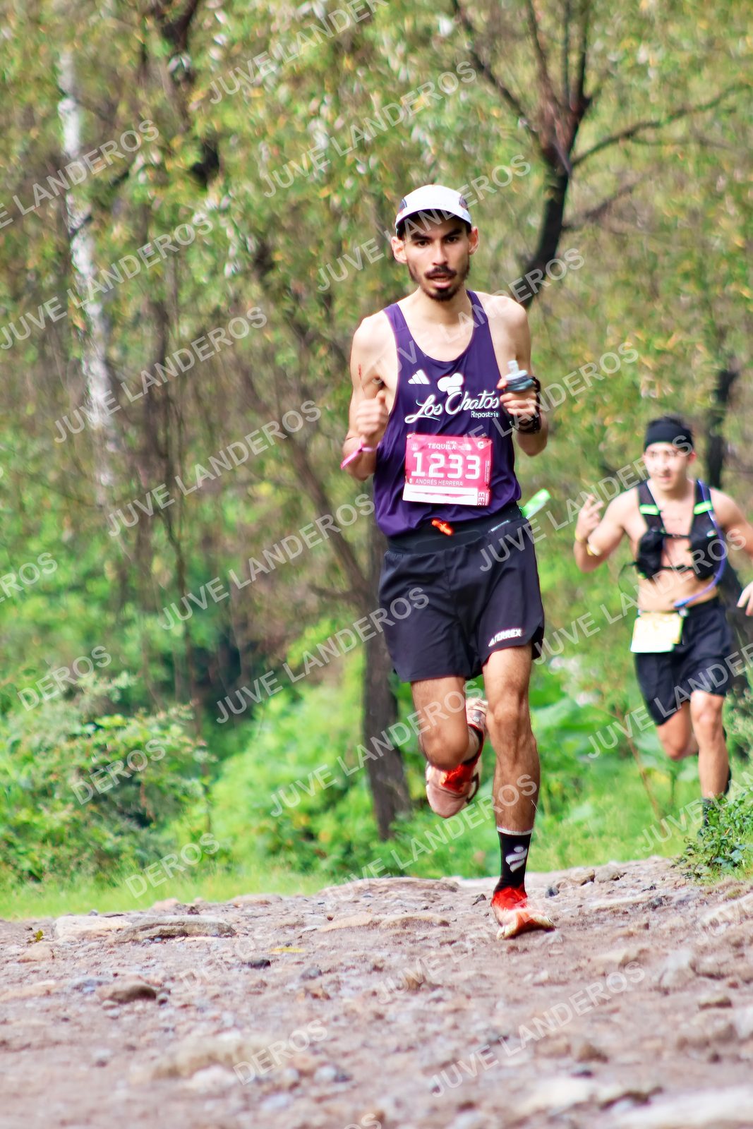 Foto del ULTRA TEQUILA 2026 en Tequila, Jalisco a las 08:46 · Ruta · dorsal 1233