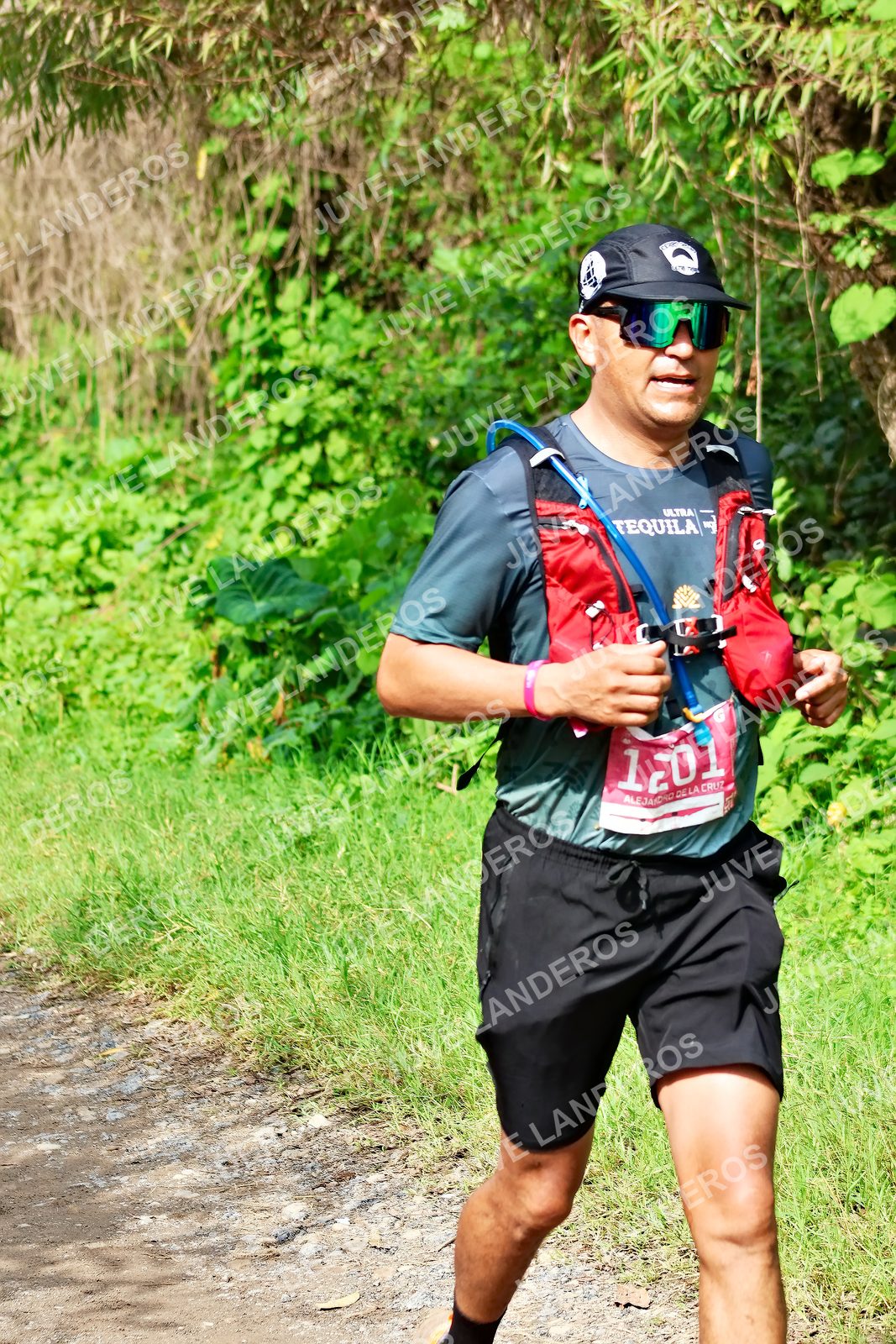 Foto del ULTRA TEQUILA 2026 en Tequila, Jalisco a las 09:33 · Ruta · dorsal 1201