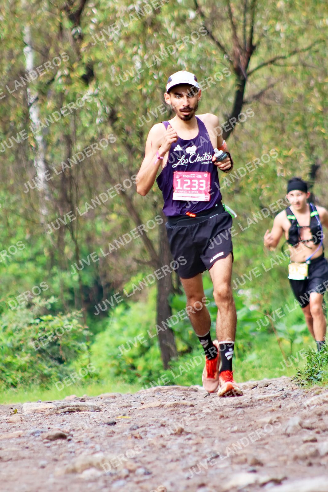 Foto del ULTRA TEQUILA 2026 en Tequila, Jalisco a las 08:46 · Ruta · dorsal 1233