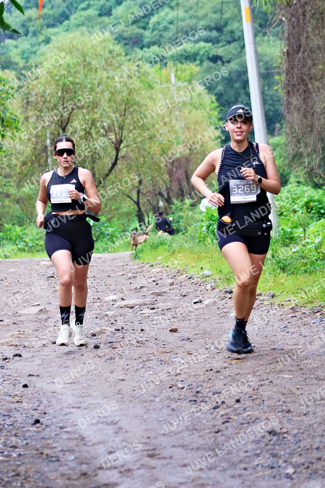 Foto del ULTRA TEQUILA 2026 en Tequila, Jalisco a las 08:18 · Ruta · dorsal 3269