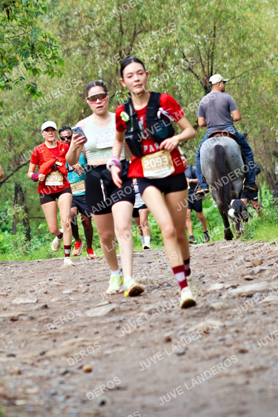 Foto del ULTRA TEQUILA 2026 en Tequila, Jalisco a las 08:48 · Ruta · dorsal 2093, 2092, 2380, 3202