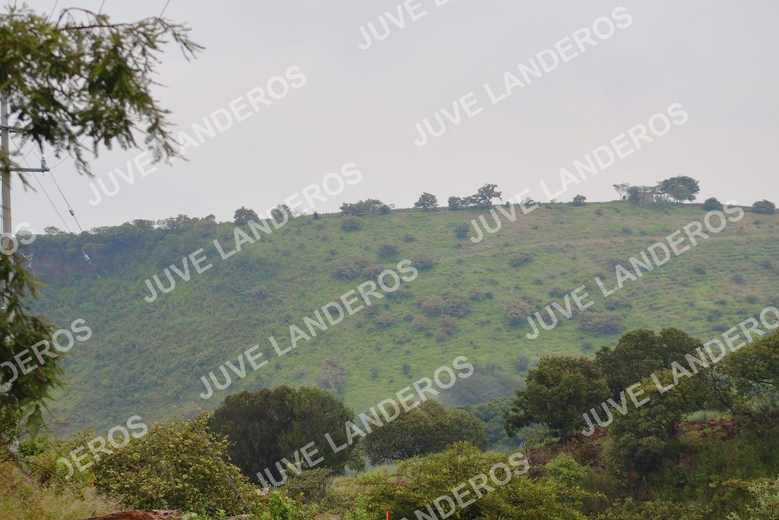 Foto del ULTRA TEQUILA 2026 a las 07:42