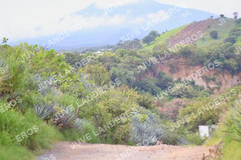 Foto del ULTRA TEQUILA 2026 a las 09:55