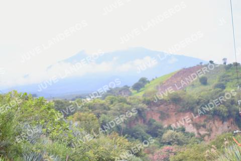 Foto del ULTRA TEQUILA 2026 a las 09:55