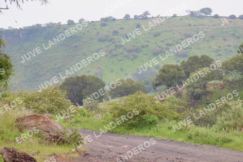 Foto del ULTRA TEQUILA 2026 a las 07:42
