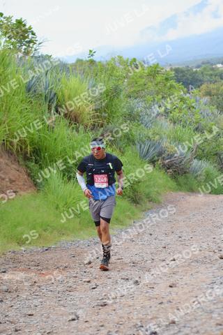Foto del ULTRA TEQUILA 2026 a las 09:57