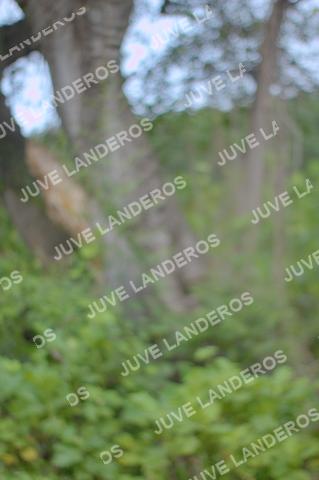 Foto del ULTRA TEQUILA 2026 a las 09:21