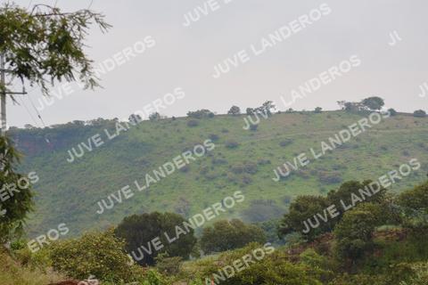 Foto del ULTRA TEQUILA 2026 a las 07:42