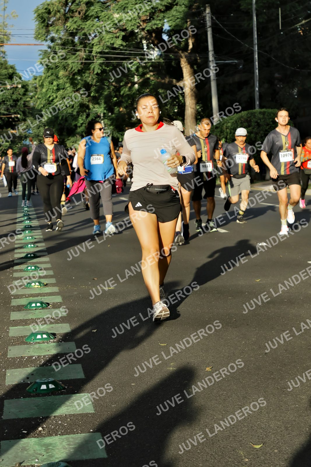Foto de la X Carrera Leones Negros Red Cola 2026 en Rectoría General de la UdeG, Av. Juárez 976 (meta en Av. Enrique Díaz de León y Pedro Moreno), Guadalajara a las 07:43 · dorsal 2564, 10976, 9833, 12746