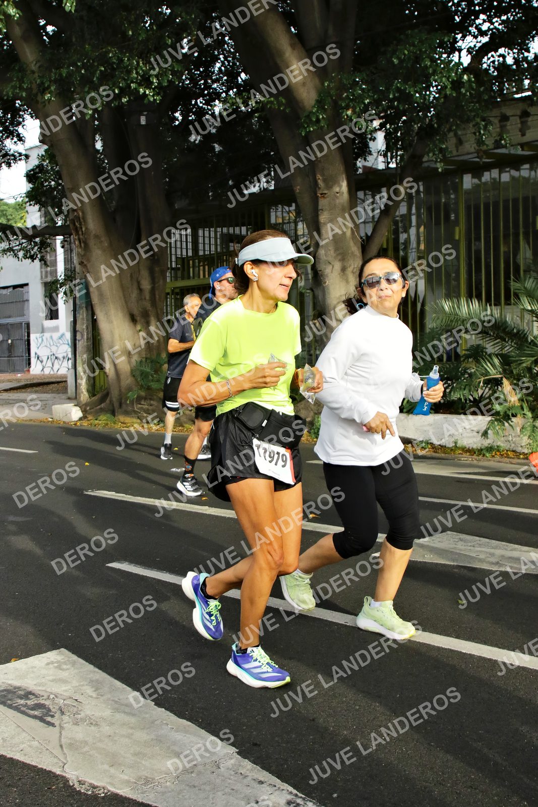 Foto de la X Carrera Leones Negros Red Cola 2026 en Rectoría General de la UdeG, Av. Juárez 976 (meta en Av. Enrique Díaz de León y Pedro Moreno), Guadalajara a las 08:09 · dorsal 77979