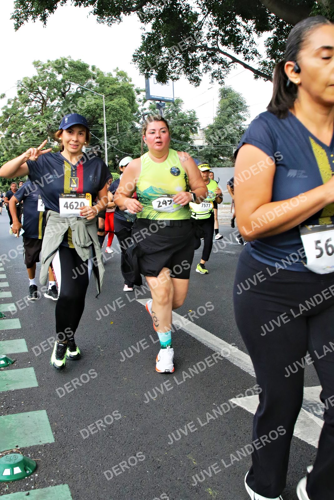 Foto de la X Carrera Leones Negros Red Cola 2026 en Rectoría General de la UdeG, Av. Juárez 976 (meta en Av. Enrique Díaz de León y Pedro Moreno), Guadalajara a las 05:12 · dorsal 56, 4620, 249, 7577