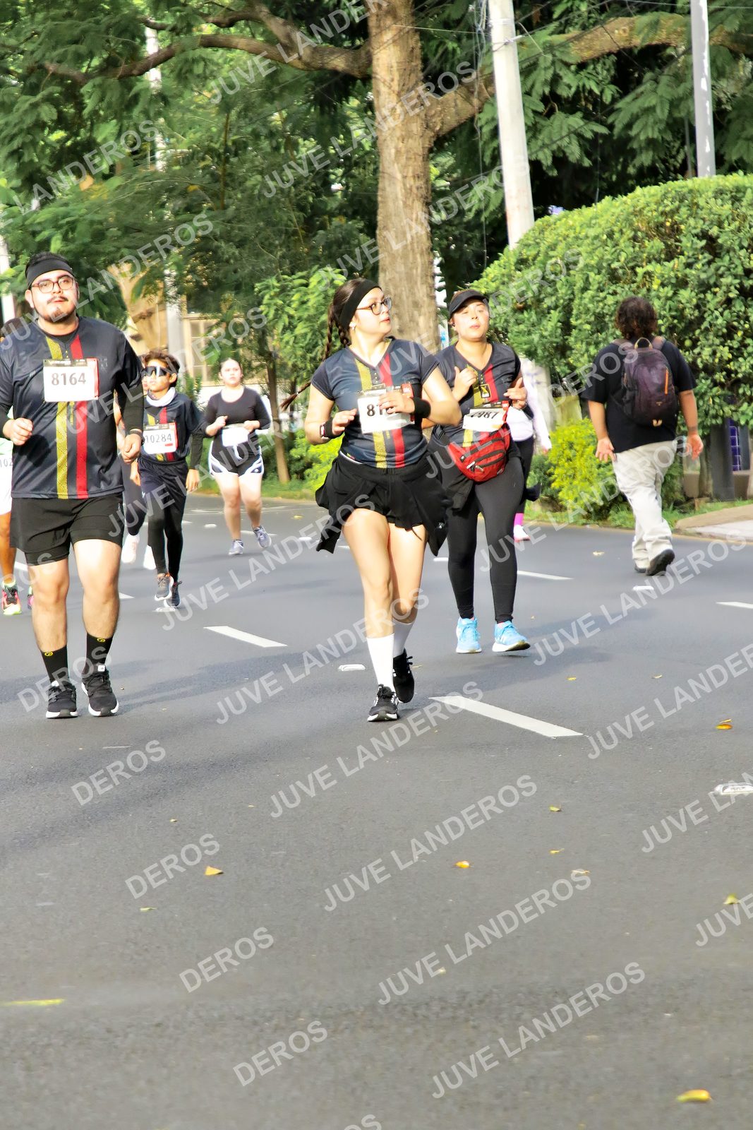 Foto de la X Carrera Leones Negros Red Cola 2026 en Rectoría General de la UdeG, Av. Juárez 976 (meta en Av. Enrique Díaz de León y Pedro Moreno), Guadalajara a las 08:12 · dorsal 8164, 10284