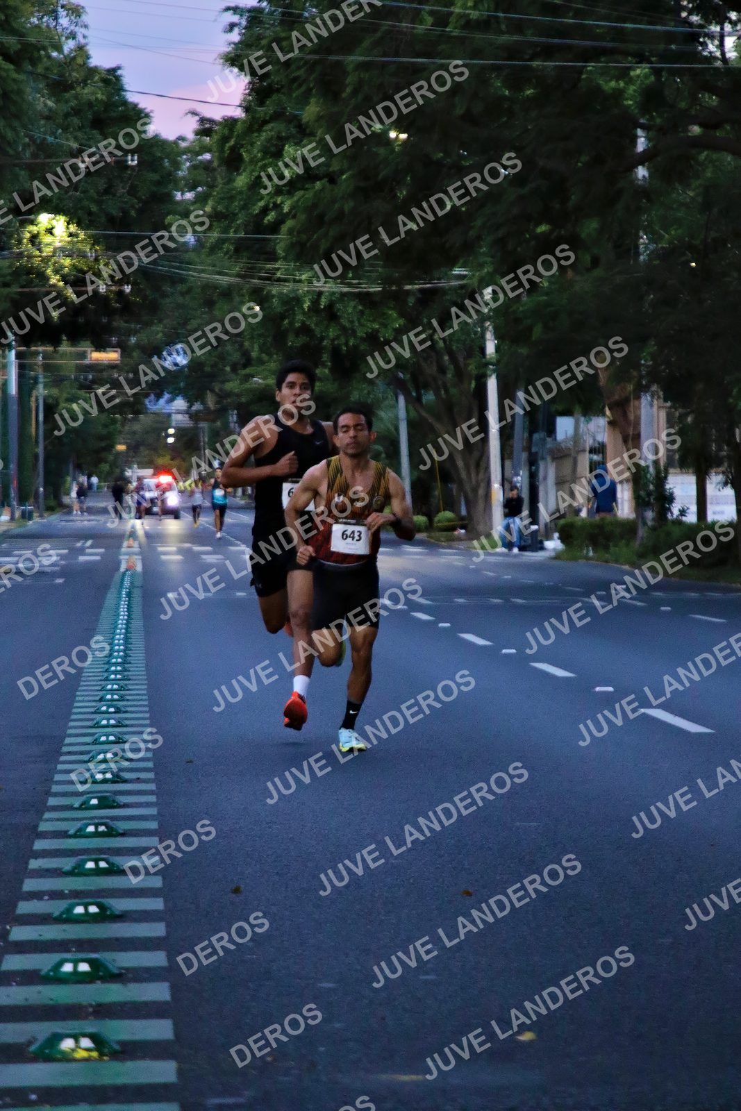 Foto de la X Carrera Leones Negros Red Cola 2026 en Rectoría General de la UdeG, Av. Juárez 976 (meta en Av. Enrique Díaz de León y Pedro Moreno), Guadalajara a las 04:48 · dorsal 643