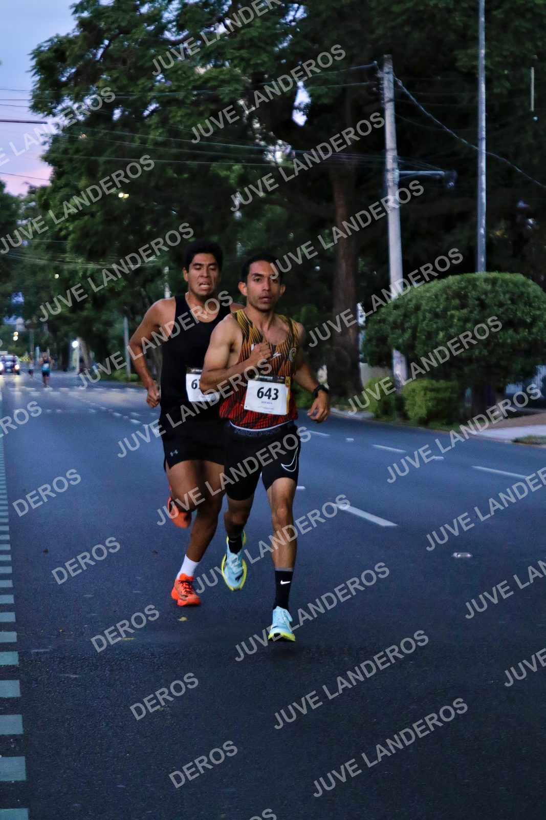 Foto de la X Carrera Leones Negros Red Cola 2026 en Rectoría General de la UdeG, Av. Juárez 976 (meta en Av. Enrique Díaz de León y Pedro Moreno), Guadalajara a las 04:48 · dorsal 643