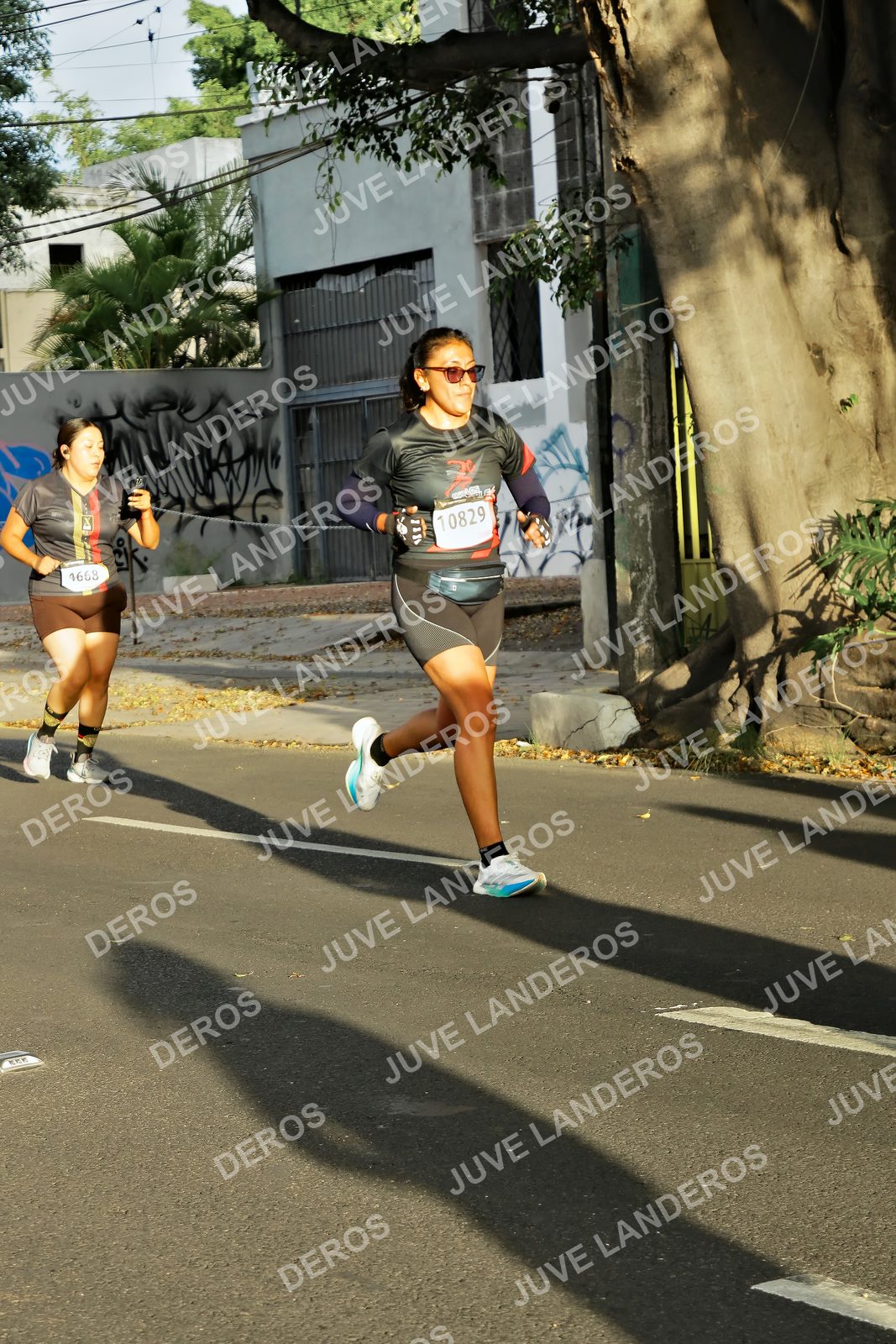 Foto de la X Carrera Leones Negros Red Cola 2026 en Rectoría General de la UdeG, Av. Juárez 976 (meta en Av. Enrique Díaz de León y Pedro Moreno), Guadalajara a las 07:31 · dorsal 1668, 10829