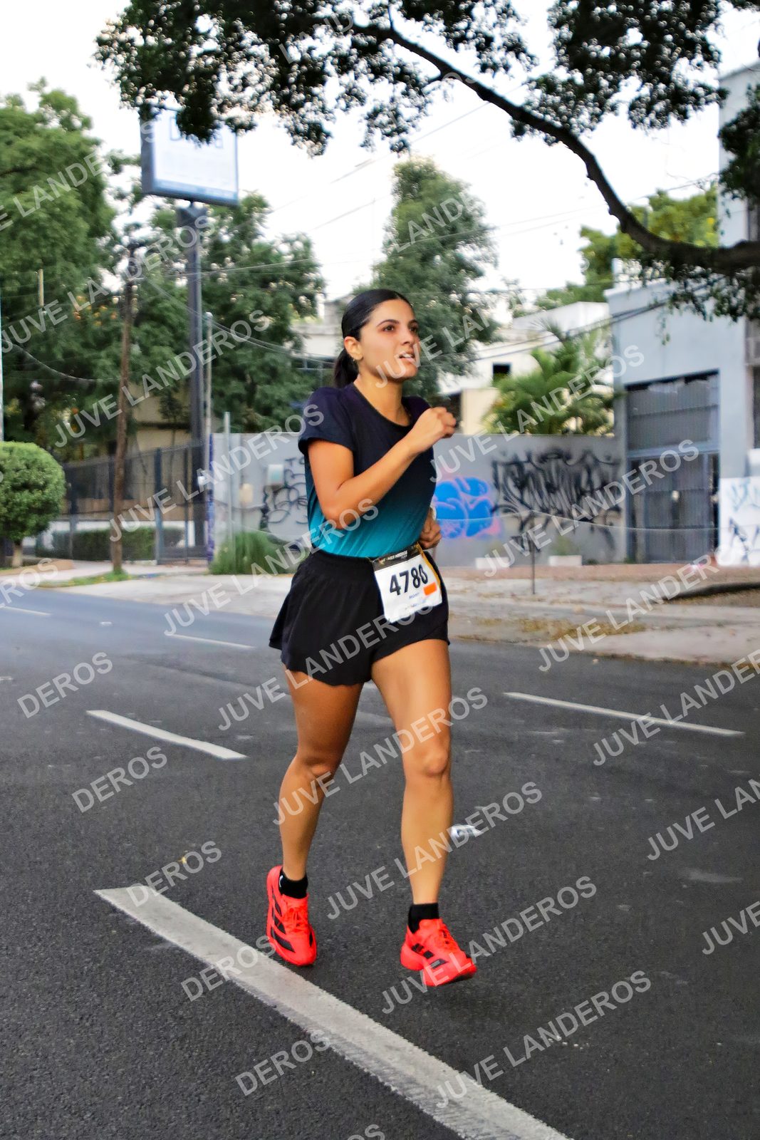 Foto de la X Carrera Leones Negros Red Cola 2026 en Rectoría General de la UdeG, Av. Juárez 976 (meta en Av. Enrique Díaz de León y Pedro Moreno), Guadalajara a las 04:58 · dorsal 4780