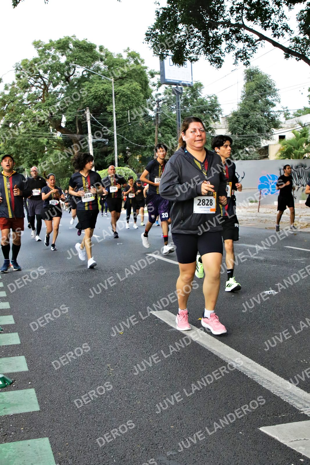 Foto de la X Carrera Leones Negros Red Cola 2026 en Rectoría General de la UdeG, Av. Juárez 976 (meta en Av. Enrique Díaz de León y Pedro Moreno), Guadalajara a las 05:09 · dorsal 2828, 3879, 20, 37