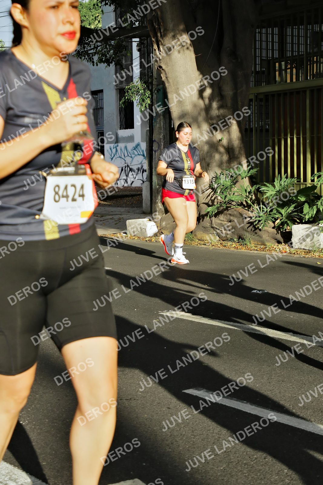Foto de la X Carrera Leones Negros Red Cola 2026 en Rectoría General de la UdeG, Av. Juárez 976 (meta en Av. Enrique Díaz de León y Pedro Moreno), Guadalajara a las 07:56 · dorsal 8424, 1315