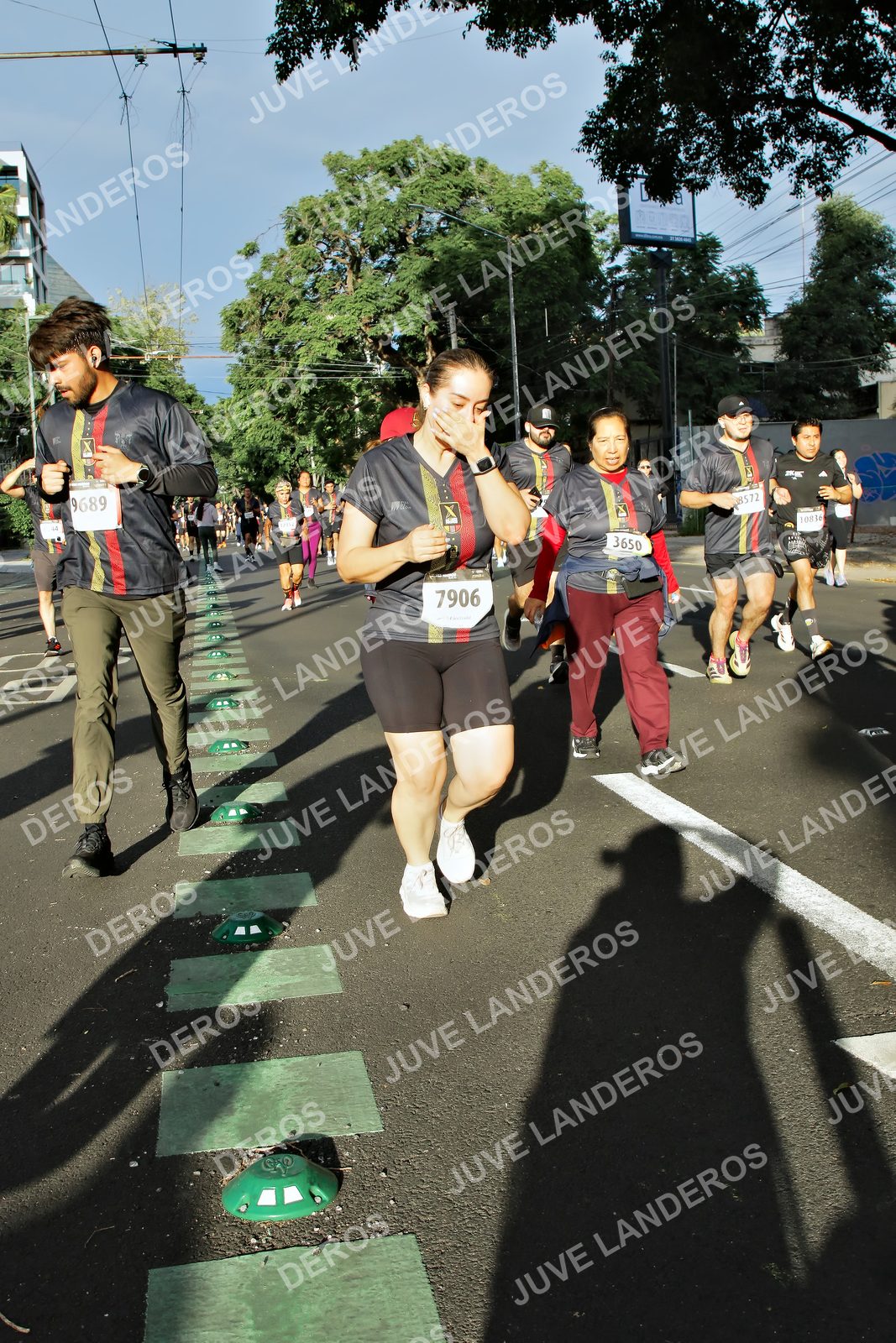 Foto de la X Carrera Leones Negros Red Cola 2026 en Rectoría General de la UdeG, Av. Juárez 976 (meta en Av. Enrique Díaz de León y Pedro Moreno), Guadalajara a las 07:49 · dorsal 7906, 9689, 3650, 10836