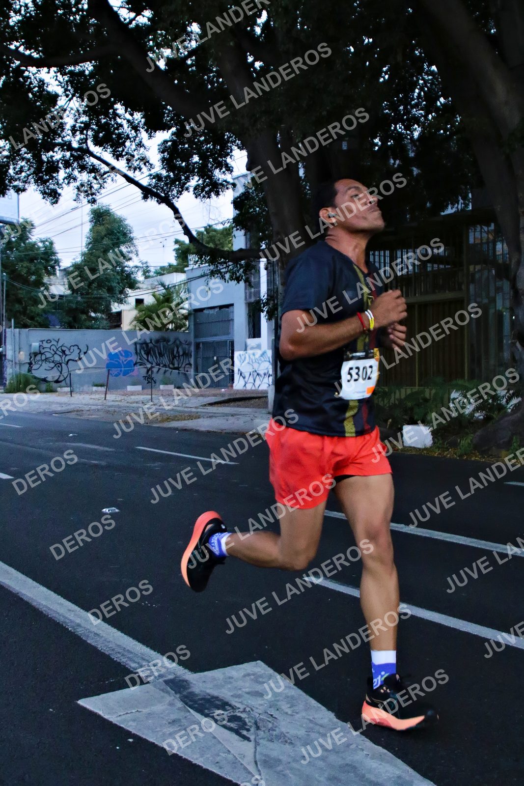 Foto de la X Carrera Leones Negros Red Cola 2026 en Rectoría General de la UdeG, Av. Juárez 976 (meta en Av. Enrique Díaz de León y Pedro Moreno), Guadalajara a las 04:53 · dorsal 5302