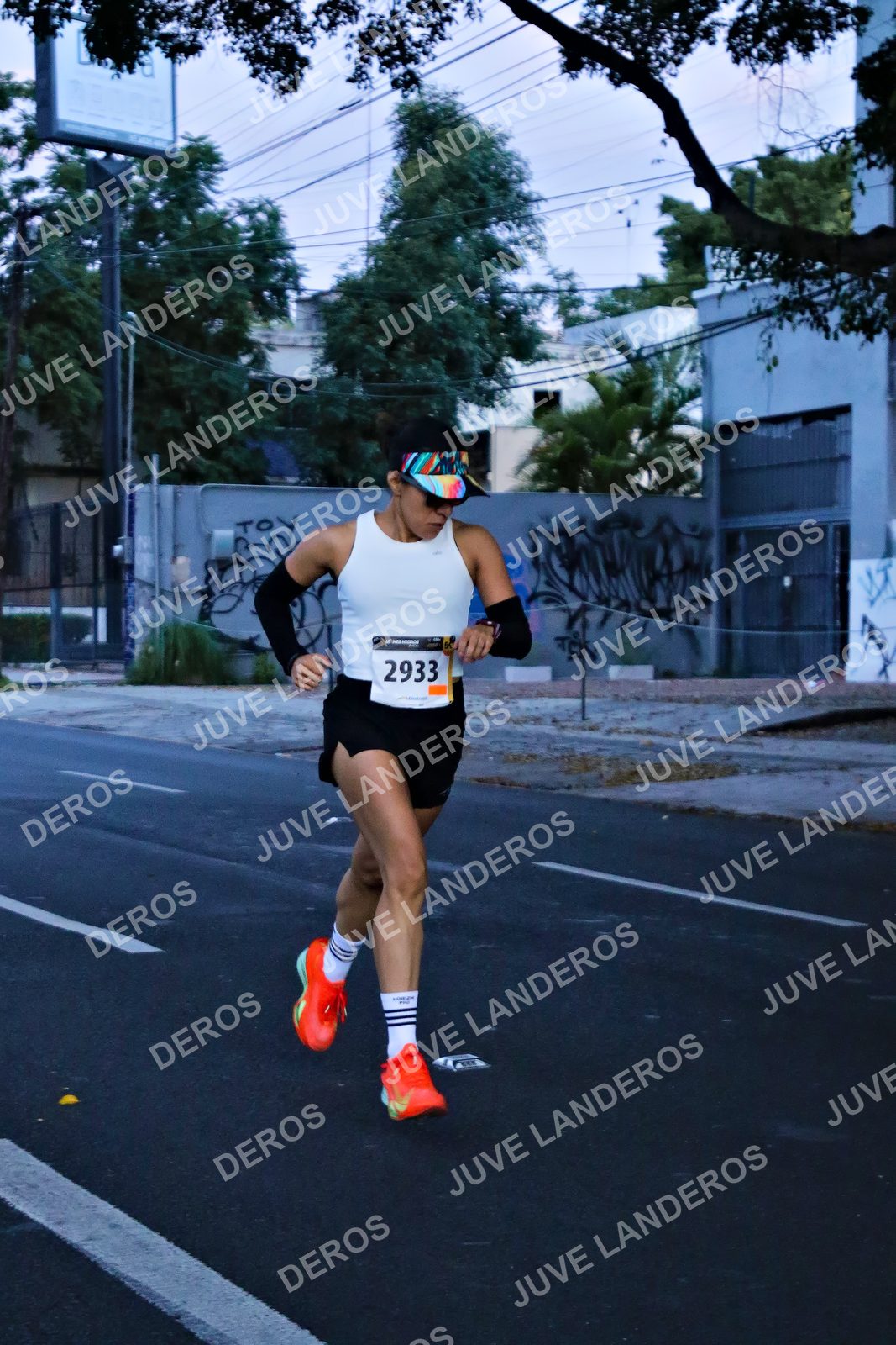 Foto de la X Carrera Leones Negros Red Cola 2026 en Rectoría General de la UdeG, Av. Juárez 976 (meta en Av. Enrique Díaz de León y Pedro Moreno), Guadalajara a las 04:51 · dorsal 2933
