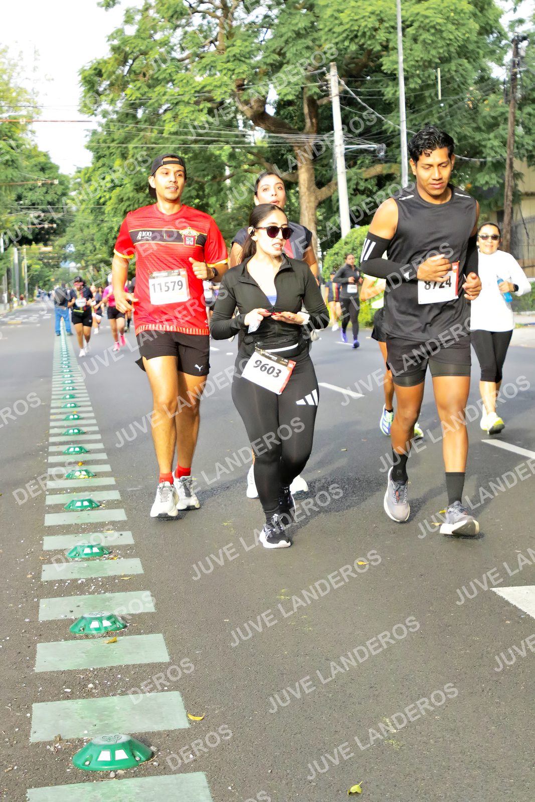Foto de la X Carrera Leones Negros Red Cola 2026 en Rectoría General de la UdeG, Av. Juárez 976 (meta en Av. Enrique Díaz de León y Pedro Moreno), Guadalajara a las 08:09 · dorsal 11579, 9603, 100