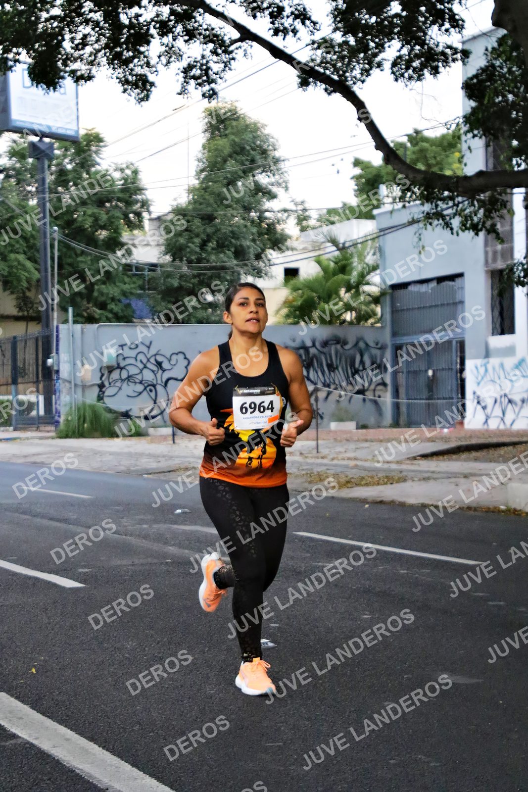 Foto de la X Carrera Leones Negros Red Cola 2026 en Rectoría General de la UdeG, Av. Juárez 976 (meta en Av. Enrique Díaz de León y Pedro Moreno), Guadalajara a las 04:57 · dorsal 6964