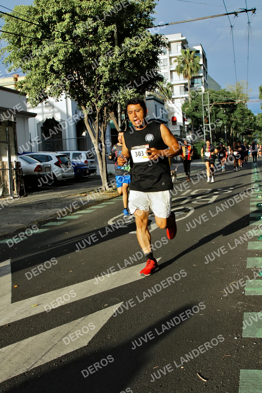 Foto de la X Carrera Leones Negros Red Cola 2026 en Rectoría General de la UdeG, Av. Juárez 976 (meta en Av. Enrique Díaz de León y Pedro Moreno), Guadalajara a las 07:48 · dorsal 303