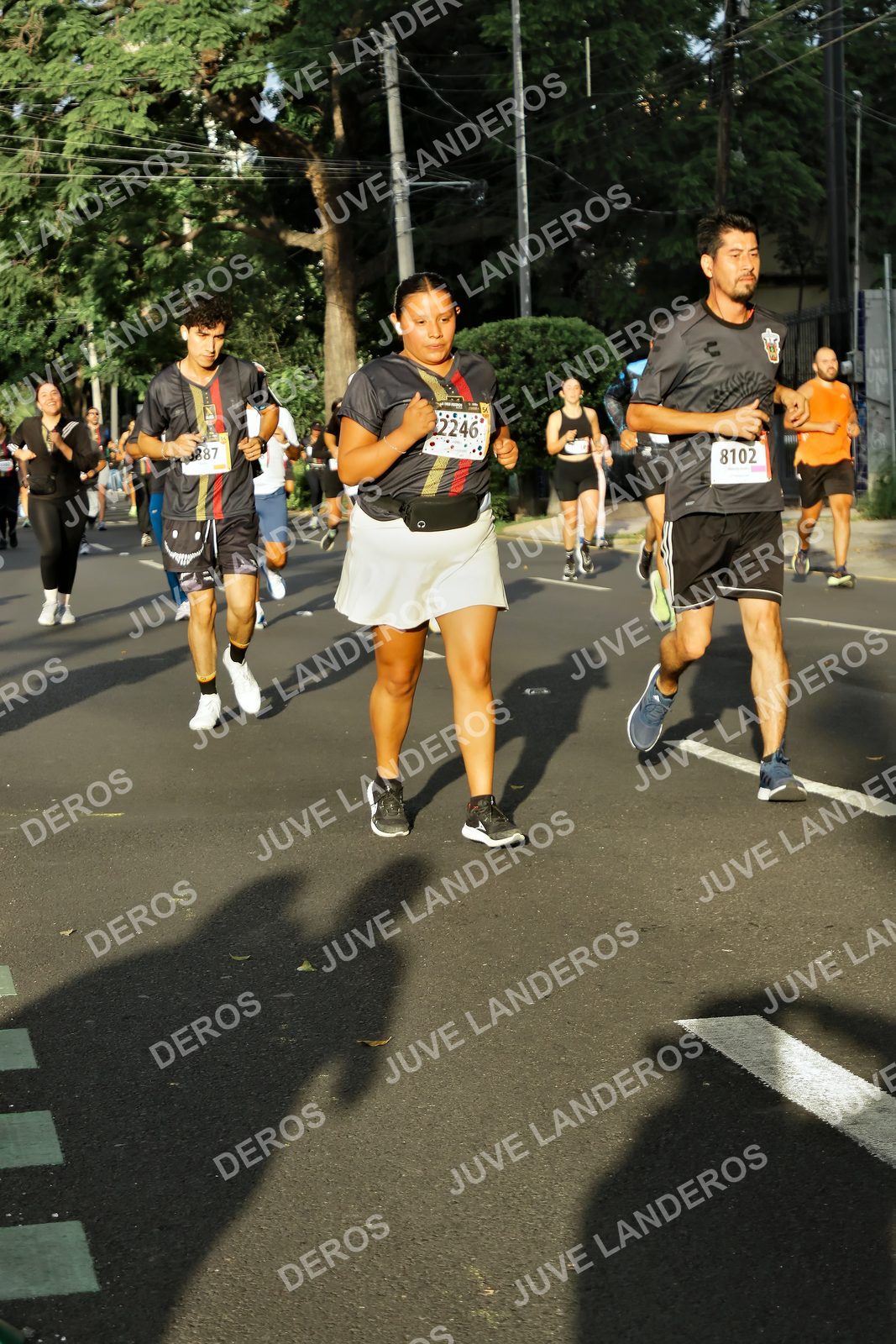 Foto de la X Carrera Leones Negros Red Cola 2026 en Rectoría General de la UdeG, Av. Juárez 976 (meta en Av. Enrique Díaz de León y Pedro Moreno), Guadalajara a las 07:37 · dorsal 8102, 2246, 887