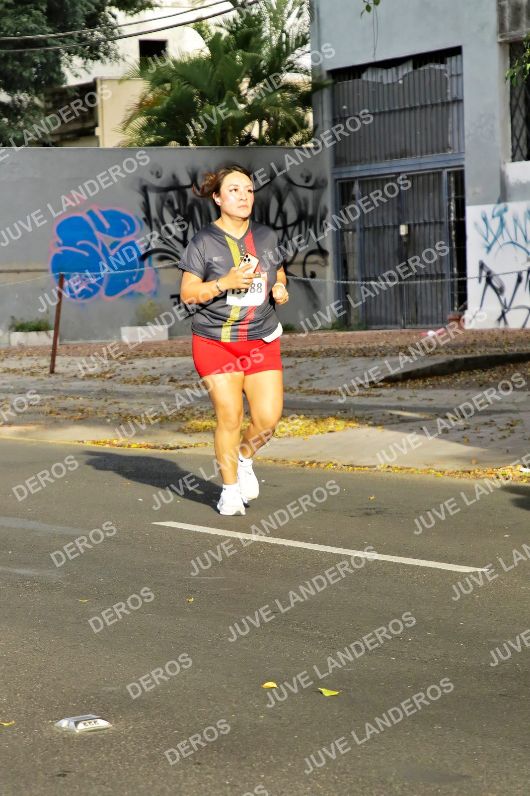 Foto de la X Carrera Leones Negros Red Cola 2026 en Rectoría General de la UdeG, Av. Juárez 976 (meta en Av. Enrique Díaz de León y Pedro Moreno), Guadalajara a las 08:01 · dorsal 88